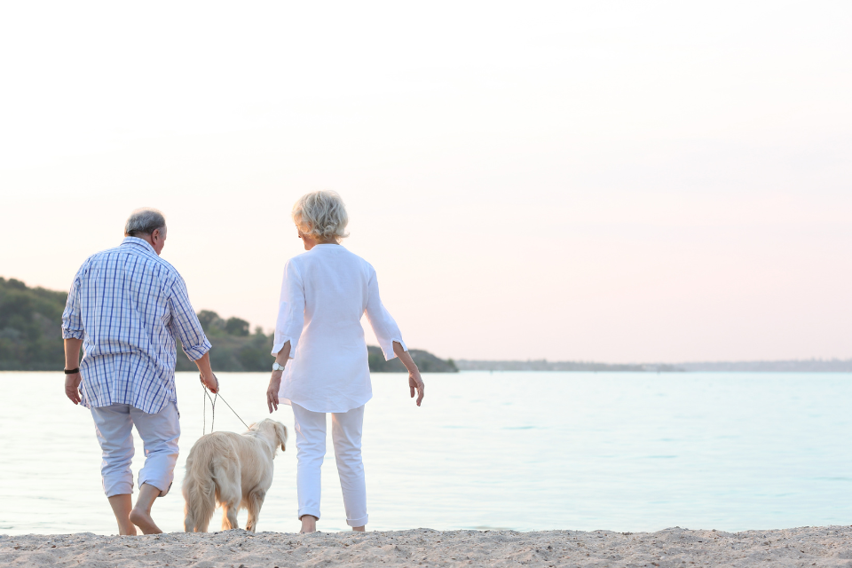 couple walking a dog on the beach at sunset